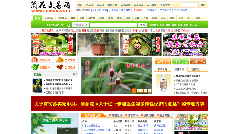 China Orchid Trading Network - Orchid Auction, Orchid Images, and Orchid Friend Interaction on Our Orchid Network thumbnail